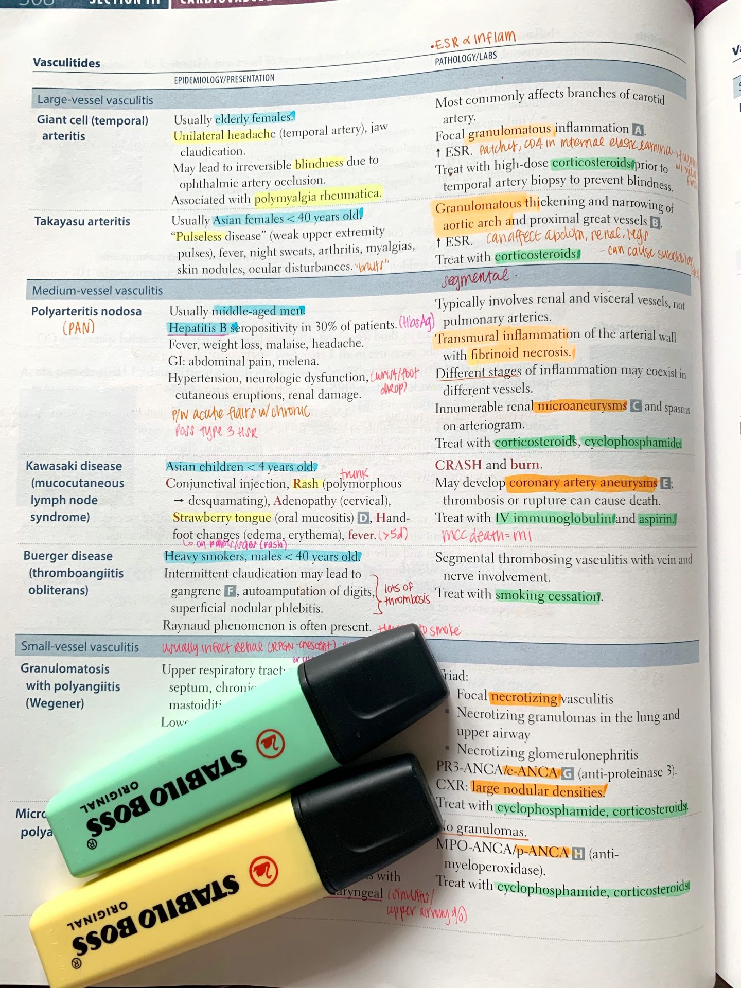 Best Way to Annotate USMLE Step 1 First Aid for Studying – Lily In Medicine