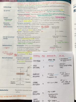 Best Way to Annotate USMLE Step 1 First Aid for Studying – Lily In Medicine